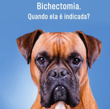 Bichectomia, quando é indicado?