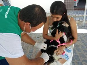 PREFEITURA DE GOIANA PROMOVE CAMPANHA DE VACINAÇÃO CONTRA RAIVA EM CÃES E GATOS